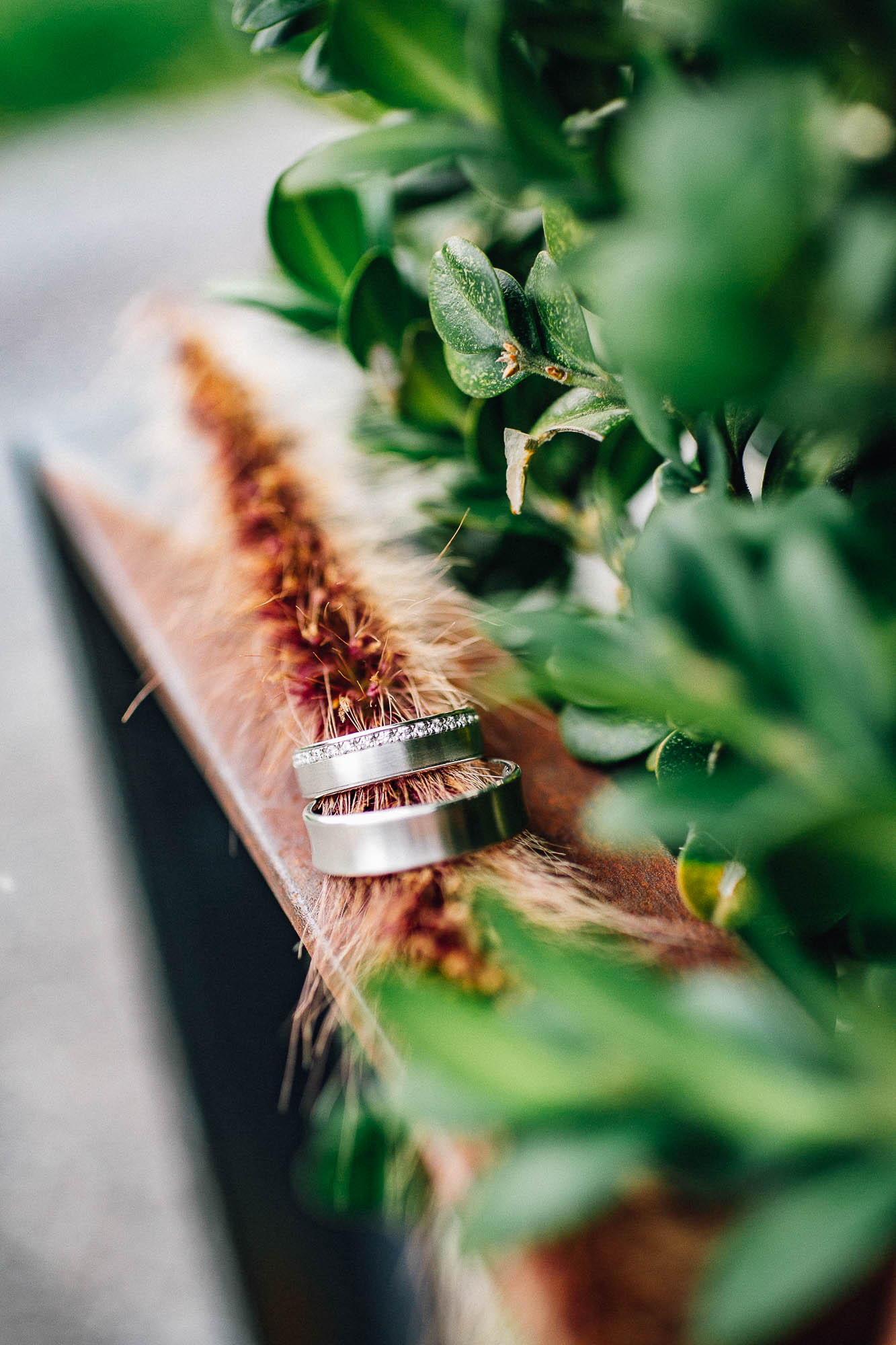 Export x3  U4C5064 Hochzeit 2019 Lena & Chasper